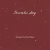 Birdtalker - December Song (feat. Joy Williams) - Single